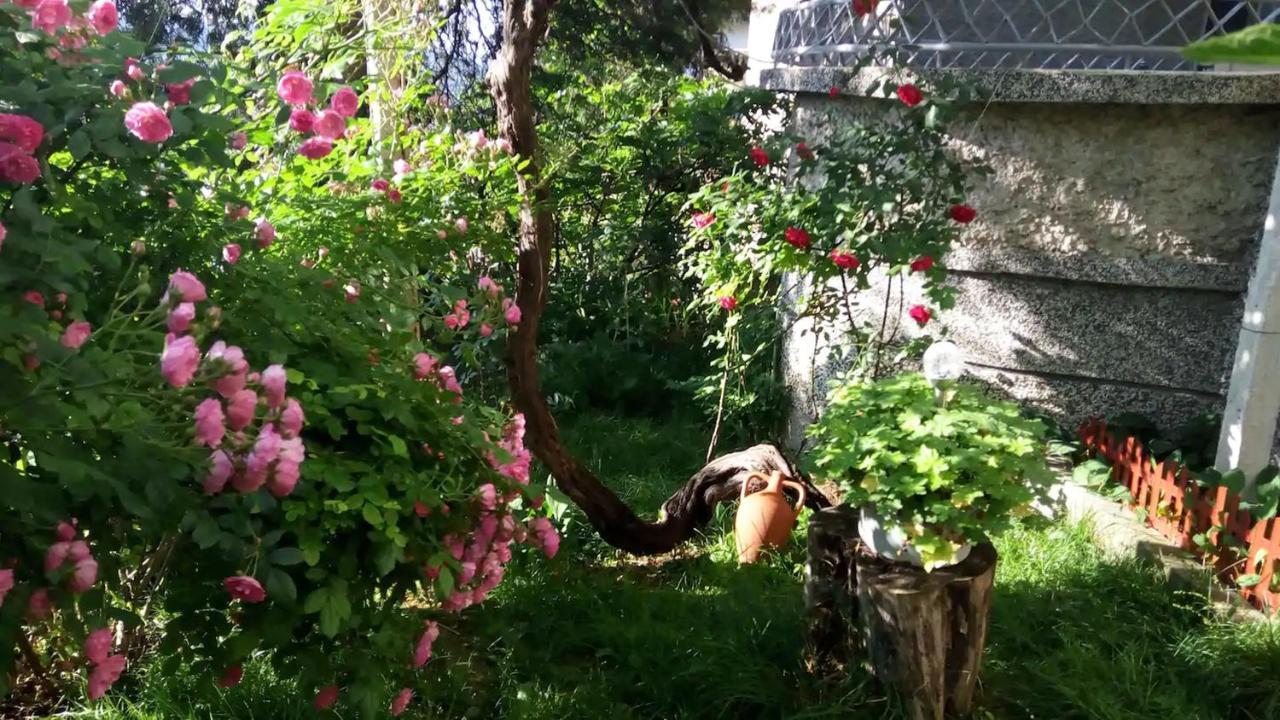 Belivanovi B&B House Veliko Tarnovo Exterior photo